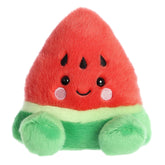 Sandy Watermelon™
